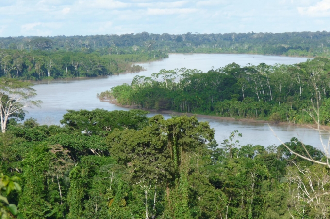 Brasilien zu Gast - Fairer Handel in der Corona-Krise